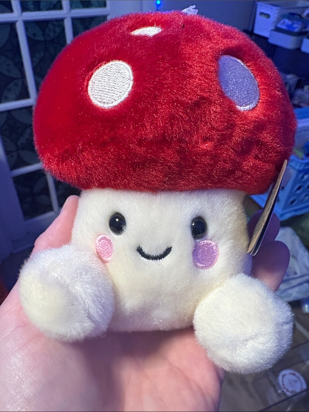 🍄 Palm Pals Amanita Mushroom Plush NWT Aurora #1-141